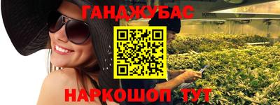 крисы Малгобек
