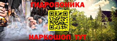 крисы Малгобек