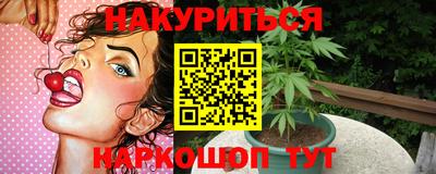 крисы Малгобек