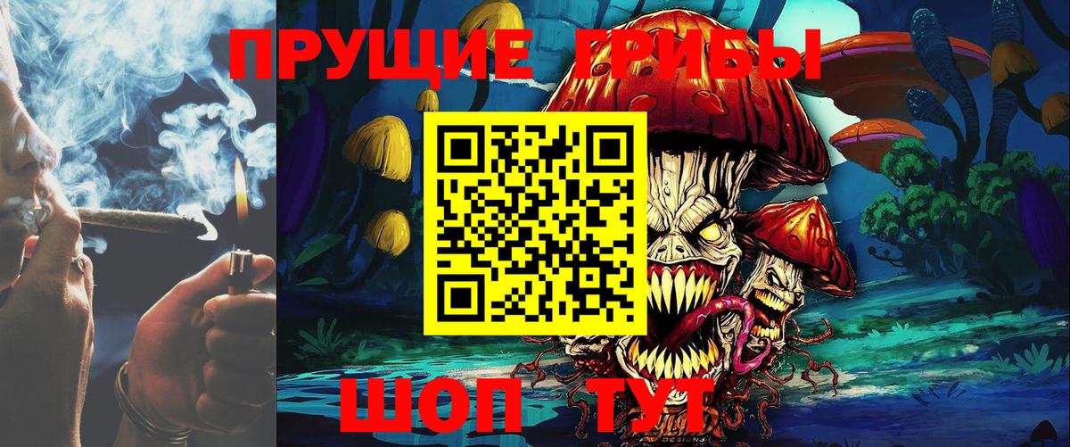 Соликамск  Галлюциногенные грибы Psilocybine cubensis  Вход с VPN 