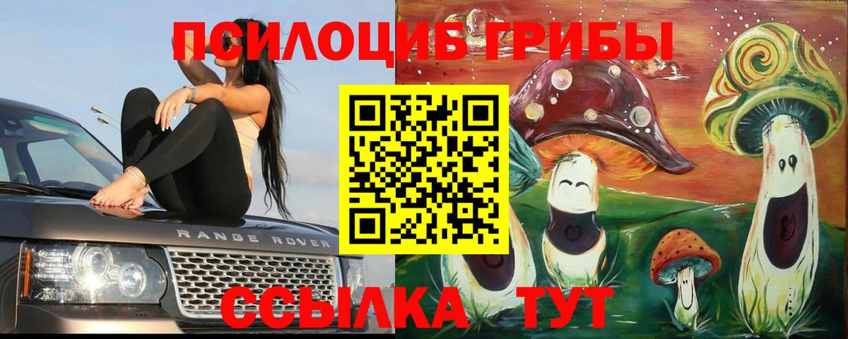 Псилоцибиновые грибы прущие грибы Соликамск